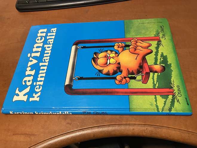 KARVINEN KEINULAUDALLA HYVÄ