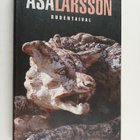 Åsa Larsson : Sudentaival - pikkukuva 1