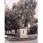 VANHA Valokuva Postikortti Vaasa 1951 - pikkukuva 1