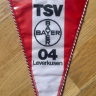 BAYER 04 LEVERKUSEN JOUKKUVIIRI (VUODESTA EI VARMUUTTA) - pikkukuva 3