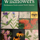 PETERSON - MCKENNY: WILDFLOWERS - pikkukuva 1