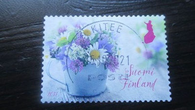 Kesäkukkia 2017