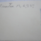 VANHA Valokuva Suojeluskunta KIVAT Merkit Koira Imatra 1935 - pikkukuva 3