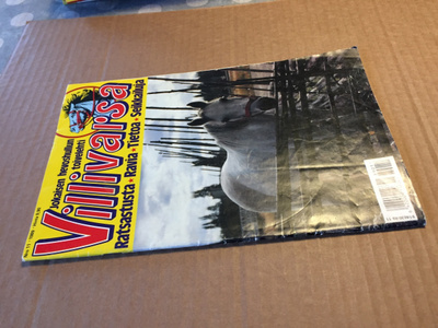 VILLIVARSA 11/1989 HYVÄ