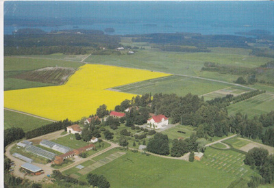 Hauho, Länsi-Hahkiala. Koetila. Ilmakuvakortti , e223
