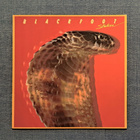 BLACKFOOT - Strikes LP - pikkukuva 1