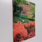 Paul Ang : Spiritual gifts manual - pikkukuva 1