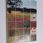 Uusi biologia 1 - pikkukuva 1