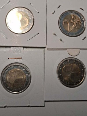 2€ rahoja hallinttomuoto