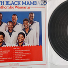 Ladysmith Black Mambazo : Umthombo Wamanzi lp - pikkukuva 2