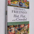 Thomas Friedman : Hot, flat, and crowded : why we need a ... - pikkukuva 1