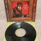 Talking Heads Naked lp - pikkukuva 1