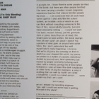 Bob Dylan : Bringing It All Back Home. - pikkukuva 2