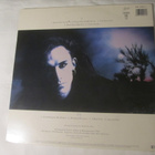 Dead Or Alive: Mad,Bad And Dangerous To Know  LP  1987 - pikkukuva 2