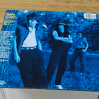 Stevie Ray Vaughan LP - pikkukuva 2
