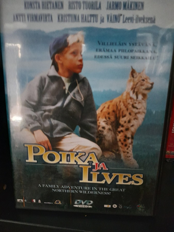 poika ja ilves