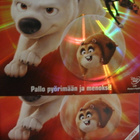 BOLT DVD - pikkukuva 2