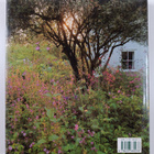 Sue Phillips : Creating a gottage garden - pikkukuva 2