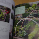 Garden Crafts for Children - 35 fun projects - Uusi - pikkukuva 4