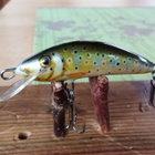 Kenart Spike Floating 5cm - pikkukuva 2