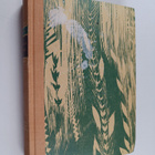 Daphne Du Maurier : Kuninkaan kenraali - pikkukuva 1