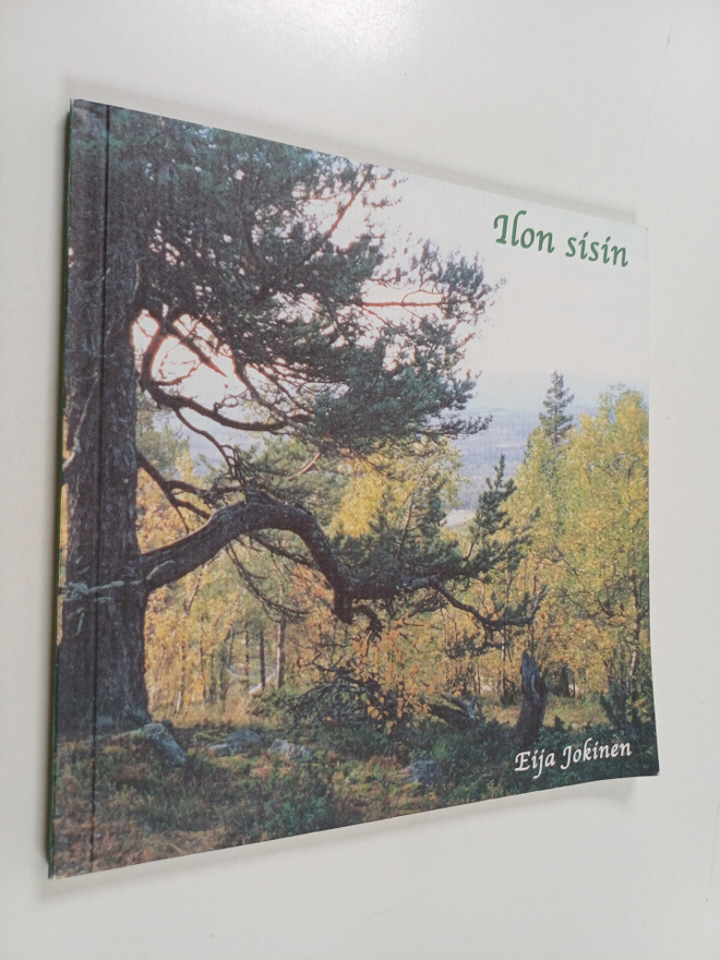 Eija Jokinen : Ilon sisin