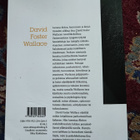 Vastenmielisten tyyppien lyhyitä haastatteluja D. F. Wallace - pikkukuva 2
