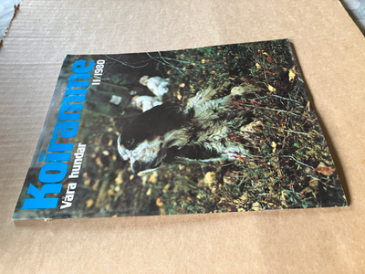 KOIRAMME LEHTI 11/1980 HYVÄ