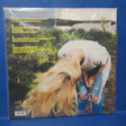 PAULA VESALA - VESALA M-/M- FIN 2016 2LP - pikkukuva 2