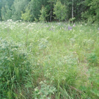 Maa-alue Kirkkonummi - pikkukuva 1