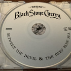 BLACK STONE CHERRY - Between The Devil & The Deep Blue - pikkukuva 3