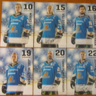 2014-15 Pelicans Team Issue 1,50€ kpl - pikkukuva 3