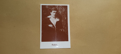 Robin.