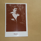 Robin. - pikkukuva 1