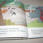 Pilkullinen Töttöröö - pikkukuva 2