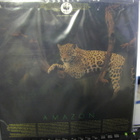 MATTI RAG PAANANEN - AMAZON FIN -90 RARE  M-/M- LP - pikkukuva 2