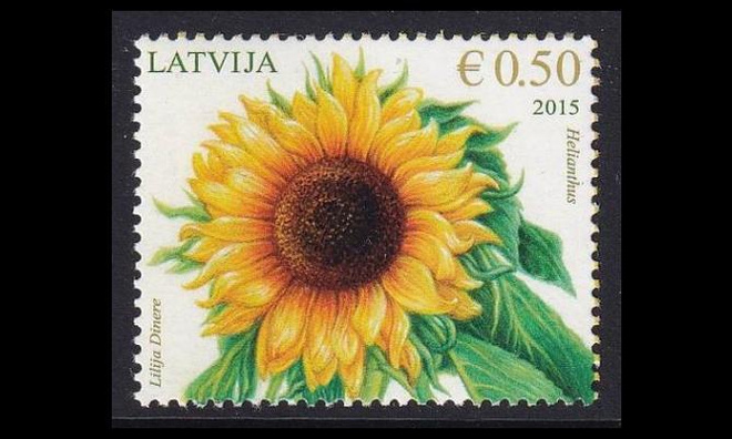 Latvia 940 ** Kukkia auringonkukka (2015)