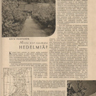 Kotilliesi n:o 10 1940 Kannen Design Martta Wendelin. - pikkukuva 3