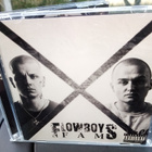 CD Flowboysfam :  X-Files ( SIS POSTIKULU) - pikkukuva 1