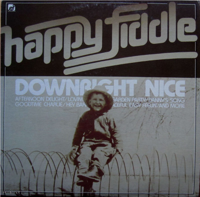 HAPPY FIDDLE: Downright nice - LP