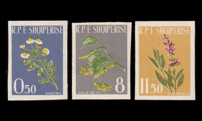 Albania 654-6B ** Lääkekasvit hammastam. (1962)