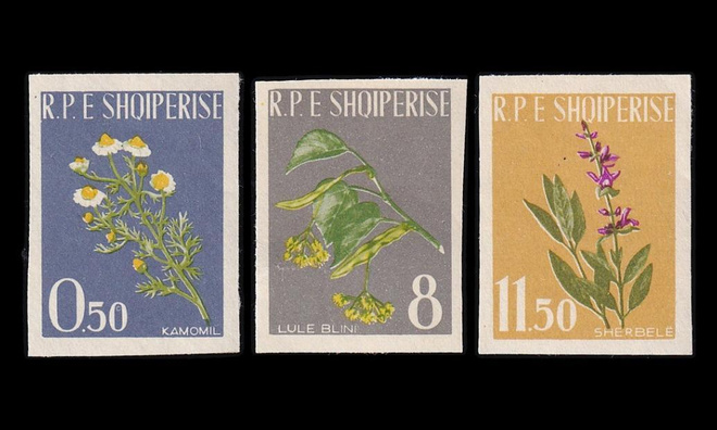 Albania 654-6B ** Lääkekasvit hammastam. (1962)