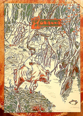 Mikko Jylhä : Hukassa -sarjakuvalehti