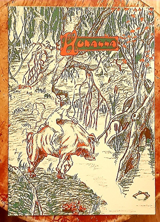Mikko Jylhä : Hukassa -sarjakuvalehti