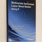 Damon Berridge : Multivariate generalized linear mixed mo... - pikkukuva 1