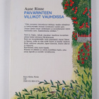 Aune Rinne : Päivärinteen villikot vauhdissa - pikkukuva 2