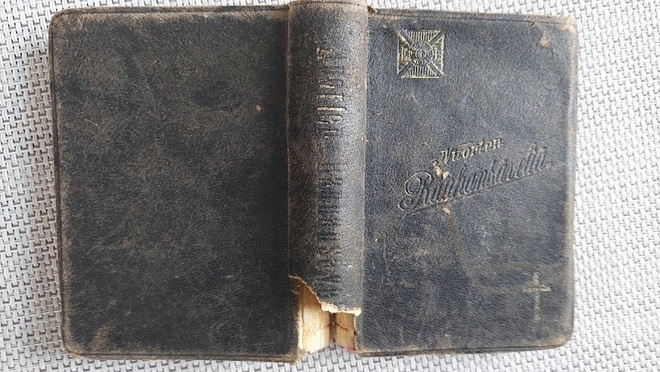 Nuorten rauhansäveliä v. 1905