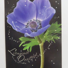 Lämpimät Onnittelut - Anemone (Paletti) - pikkukuva 1