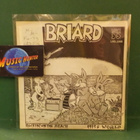 BRIARD - ROCKIN' ON THE BEACH / MISS WORLD M-/M- FIN -79 7" - pikkukuva 1