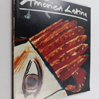 American latina - Lateinamerika in der bildenden kunst de... - pikkukuva 1